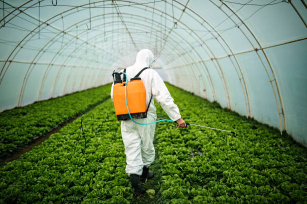 Best Pest Control for Businesses  in Largo, FL