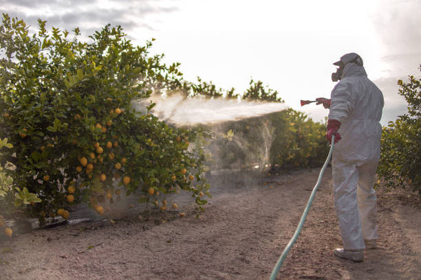 Best Emergency Pest Control  in Largo, FL