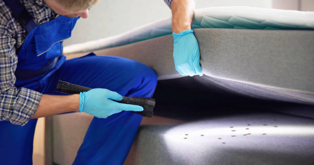Best Cockroach Control Services  in Largo, FL
