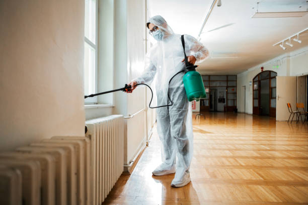Best Wasp Removal Services  in Largo, FL