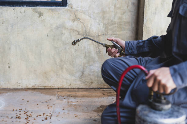 Best Affordable Pest Control Services  in Largo, FL